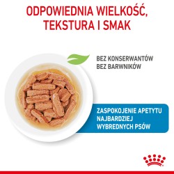 ROYAL CANIN Medium Puppy karma mokra w sosie dla szczeniąt ras średnich, do 12 miesiąca 20x 140g