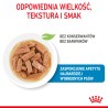 ROYAL CANIN Maxi Puppy karma mokra w sosie dla szczeniąt ras dużych, do 15 miesiąca życia 10x 140g
