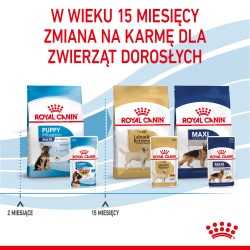 ROYAL CANIN Maxi Puppy karma mokra w sosie dla szczeniąt ras dużych, do 15 miesiąca życia 10x 140g