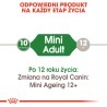 ROYAL CANIN Mini Adult karma mokra w sosie dla psów dorosłych ras małych 12x 85g