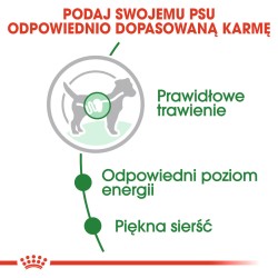 ROYAL CANIN Mini Adult karma mokra w sosie dla psów dorosłych ras małych 12x 85g