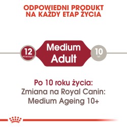 ROYAL CANIN Medium Adult karma mokra w sosie dla psów dorosłych ras średnich 10x 140g