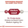 ROYAL CANIN Medium Adult karma mokra w sosie dla psów dorosłych ras średnich 10x 140g