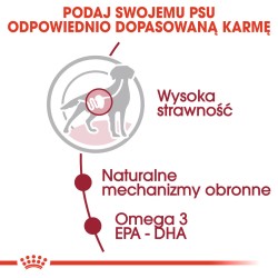 ROYAL CANIN Medium Adult karma mokra w sosie dla psów dorosłych ras średnich 10x 140g