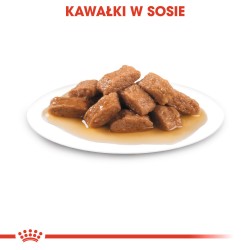 ROYAL CANIN Medium Adult karma mokra w sosie dla psów dorosłych ras średnich 10x 140g