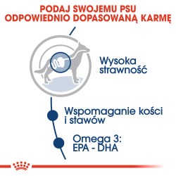ROYAL CANIN Maxi Adult karma mokra, kawałki w sosie dla psów dorosłych, ras dużych 140g