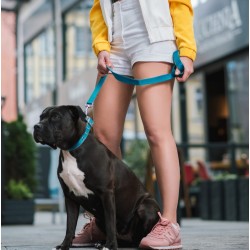 DINGO Smycz przedłużana Twilight Silver - czarna 1,6cm x 220cm