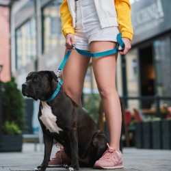 DINGO Smycz przedłużana Twilight Silver - morska 2cm x 220cm