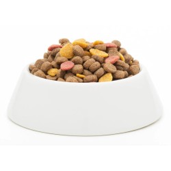 JOSERA JosiDog Master Mix 900g