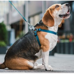 DINGO Szelki FRED Twilight Silver - morskie rozm. 60 (1,6cm)