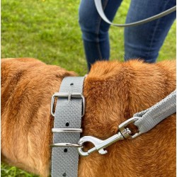 DINGO Obroża z metalowym zapięciem - szara 1cm x 30cm