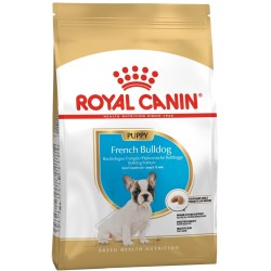 ROYAL CANIN French Bulldog Puppy karma sucha dla szczeniąt do 12 miesiąca, rasy buldog francuski 10 kg