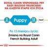ROYAL CANIN French Bulldog Puppy karma sucha dla szczeniąt do 12 miesiąca, rasy buldog francuski 10 kg