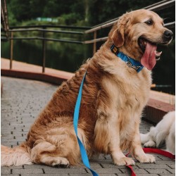 DINGO Smycz z taśmy, pojedyncza 1cm x 130cm