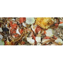 NATURAL-VIT Korona Natury - karma pełnoporcjowa dla chomika 750g