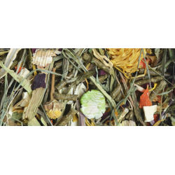 NATURAL-VIT Korona Natury - karma pełnoporcjowa dla koszatniczki 750g