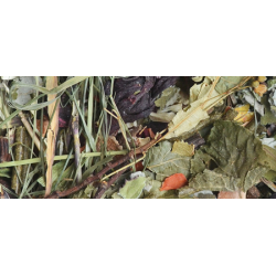 NATURAL-VIT Korona Natury - karma pełnoporcjowa dla świnki morskiej 1,6kg