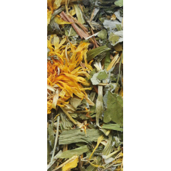 NATURAL-VIT Korona Natury Mieszanka ziołowa - chomik 70g