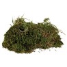 TRIXIE Mech do terrarium 200g