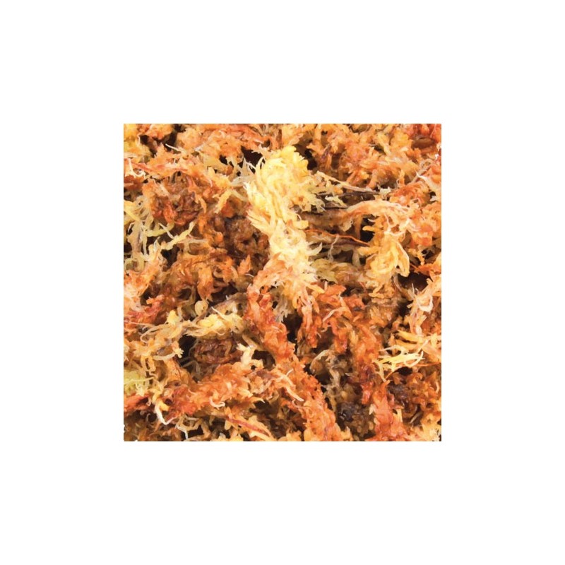 TRIXIE Mech torfowiec 4,5l