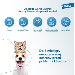 BAYER Obroża Foresto dla psów i kotów 38 cm