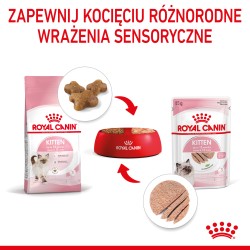 ROYAL CANIN Kitten Instinctive pasztet karma mokra - pasztet dla kociąt do 12 miesiąca życia 12x 85g