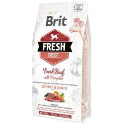 BRIT FRESH Beef & Pumpkin Puppy Large Growth & Joints 2,5 kg