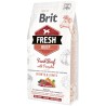 BRIT FRESH Beef & Pumpkin Puppy Large Growth & Joints 12kg