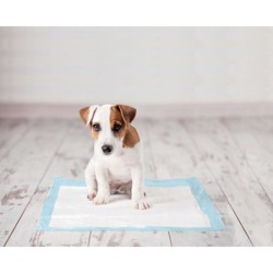 ZOLUX Maty absorbujące do nauki czystości 30 sztuk 40 x 60 cm - 30 sztuk