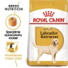 ROYAL CANIN Labrador Retriever Adult karma sucha dla psów dorosłych do 5. roku życia, rasy labrador retriever 3 kg