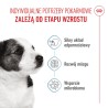 ROYAL CANIN Mini Puppy karma sucha dla szczeniąt, od 2. do 10. miesiąca życia, ras małych 8kg
