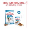 ROYAL CANIN Mini Puppy karma sucha dla szczeniąt, od 2. do 10. miesiąca życia, ras małych 8kg