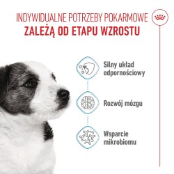 ROYAL CANIN Mini Puppy karma sucha dla szczeniąt, od 2. do 10. miesiąca życia, ras małych 2kg