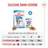 ROYAL CANIN Mini Puppy karma sucha dla szczeniąt, od 2. do 10. miesiąca życia, ras małych 2kg