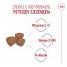 ROYAL CANIN Mini Puppy karma sucha dla szczeniąt, od 2. do 10. miesiąca życia, ras małych 4 kg