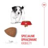 ROYAL CANIN Mini Puppy karma sucha dla szczeniąt, od 2. do 10. miesiąca życia, ras małych 800g