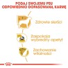 ROYAL CANIN Yorkshire Terrier Adult karma sucha dla dorosłych psów rasy yorkshire terrier 3 kg