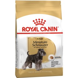 ROYAL CANIN Miniature Schnauzer Adult karma sucha dla psów dorosłych rasy sznaucer miniaturowy 3 kg