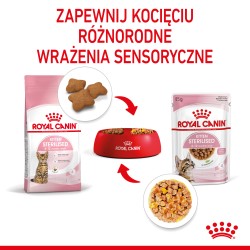 ROYAL CANIN Kitten Sterilised karma mokra w galaretce dla kociąt od 6 do 12 miesiąca życia, sterylizowanych 24x 85g