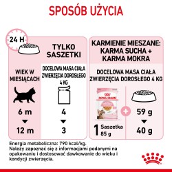 ROYAL CANIN Kitten Sterilised karma mokra w galaretce dla kociąt od 6 do 12 miesiąca życia, sterylizowanych 24x 85g