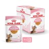 ROYAL CANIN Kitten Sterilised karma mokra w galaretce dla kociąt od 6 do 12 miesiąca życia, sterylizowanych 24x 85g