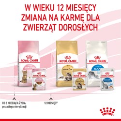 ROYAL CANIN Kitten Sterilised karma mokra w sosie dla kociąt od 6 do 12 miesiąca życia, sterylizowanych 12x 85g