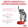 ROYAL CANIN Kitten Sterilised karma mokra w sosie dla kociąt od 6 do 12 miesiąca życia, sterylizowanych 24x 85g