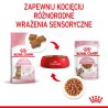 ROYAL CANIN Kitten Sterilised karma mokra w sosie dla kociąt od 6 do 12 miesiąca życia, sterylizowanych 24x 85g