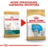 ROYAL CANIN Golden Retriever Puppy karma sucha dla szczeniąt do 15 miesiąca, rasy golden retriever 12kg