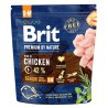 BRIT Premium by Nature Senior S + M 2x 15kg