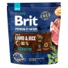 BRIT Premium by Nature Sensitive Lamb 8kg