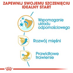 ROYAL CANIN Boxer Puppy karma sucha dla szczeniąt do 15 miesiąca, rasy bokser 2x 12kg