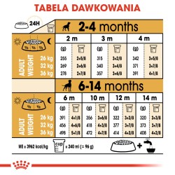 ROYAL CANIN Boxer Puppy karma sucha dla szczeniąt do 15 miesiąca, rasy bokser 2x 12kg