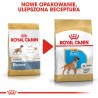 ROYAL CANIN Boxer Puppy karma sucha dla szczeniąt do 15 miesiąca, rasy bokser 2x 12kg
